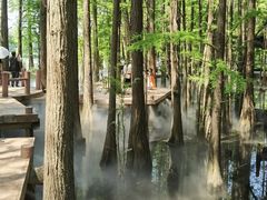 -东湖落雁景区