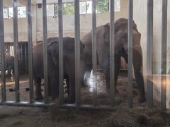 -石家庄市动物园