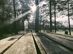 -瑶湖郊野森林公园