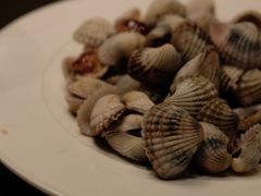 血蛤-高佳庄·舟山海鲜(海景旗舰店)