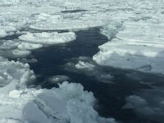 -网走流冰观光破冰船极光号