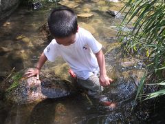 -碓臼峪自然风景区