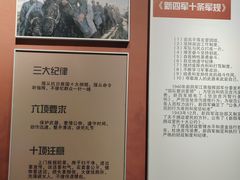 -泗洪洪泽湖湿地景区