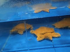 -金汤宴餐厅·粤菜(德云社店)