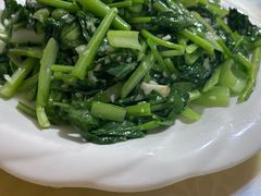 -煲来饱去冷水鱼