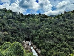 -海南热带雨林国家公园吊罗山景区