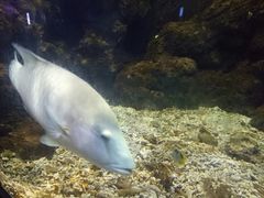 -临沂极地海洋王国