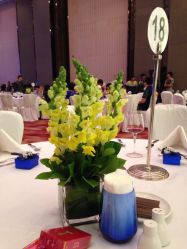 -天河希尔顿酒店·宴会厅