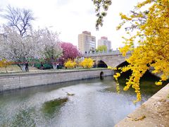 -海棠花溪(元大都城垣遗址公园)