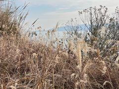 -苏州吴中太湖旅游区