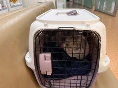 -宠颐生中康贝怡动物医院