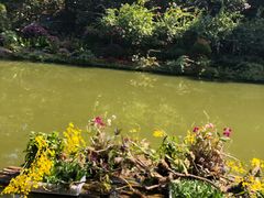 -深圳仙湖植物园