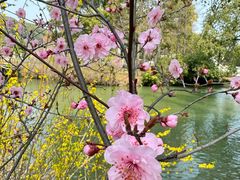 -苏州上方山国家森林公园