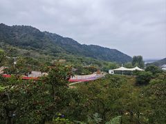 -吉姆冒险世界(蓟州店)