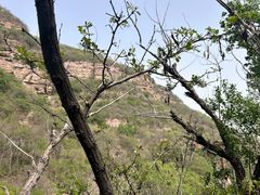 -红旗渠风景区