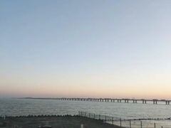 -南汇新城海滩
