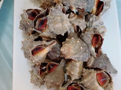 -宾朋海鲜饭庄(兴海路店)