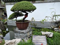 -水绘园