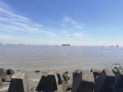 -上海滨江森林公园