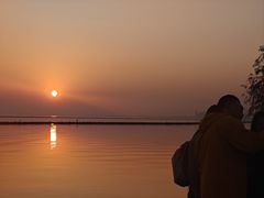 -合肥滨湖国家森林公园