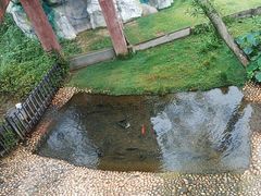 -广东惠东海龟国家级自然保护区