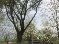 -东山风景区(洞庭东山)