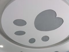 -纳吉亚猫专科动物诊疗中心(蒋宅口分院)