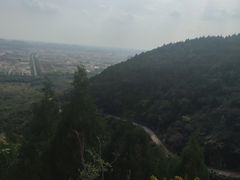 -府君山公园