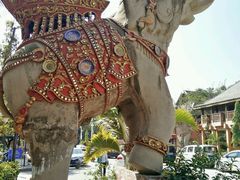 大象-告庄西双景