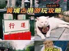 -黄埔古港