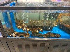 -物美大卖场(玉蜓桥店)