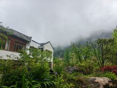 -九华山风景区