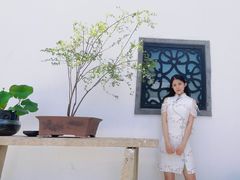 -稍可轩博物馆餐厅