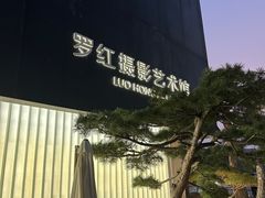 -罗红摄影艺术馆