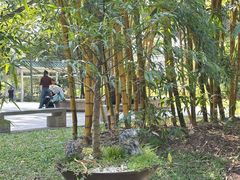 -晓港公园