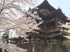 -西安青龙寺遗址景区