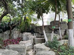 -黄埔荔枝公园