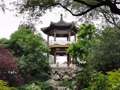 -莲花池公园