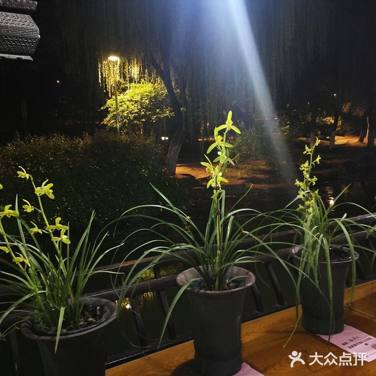 那天有个特色就是兰花展 兰花品种很多 拍拍照挺好的！