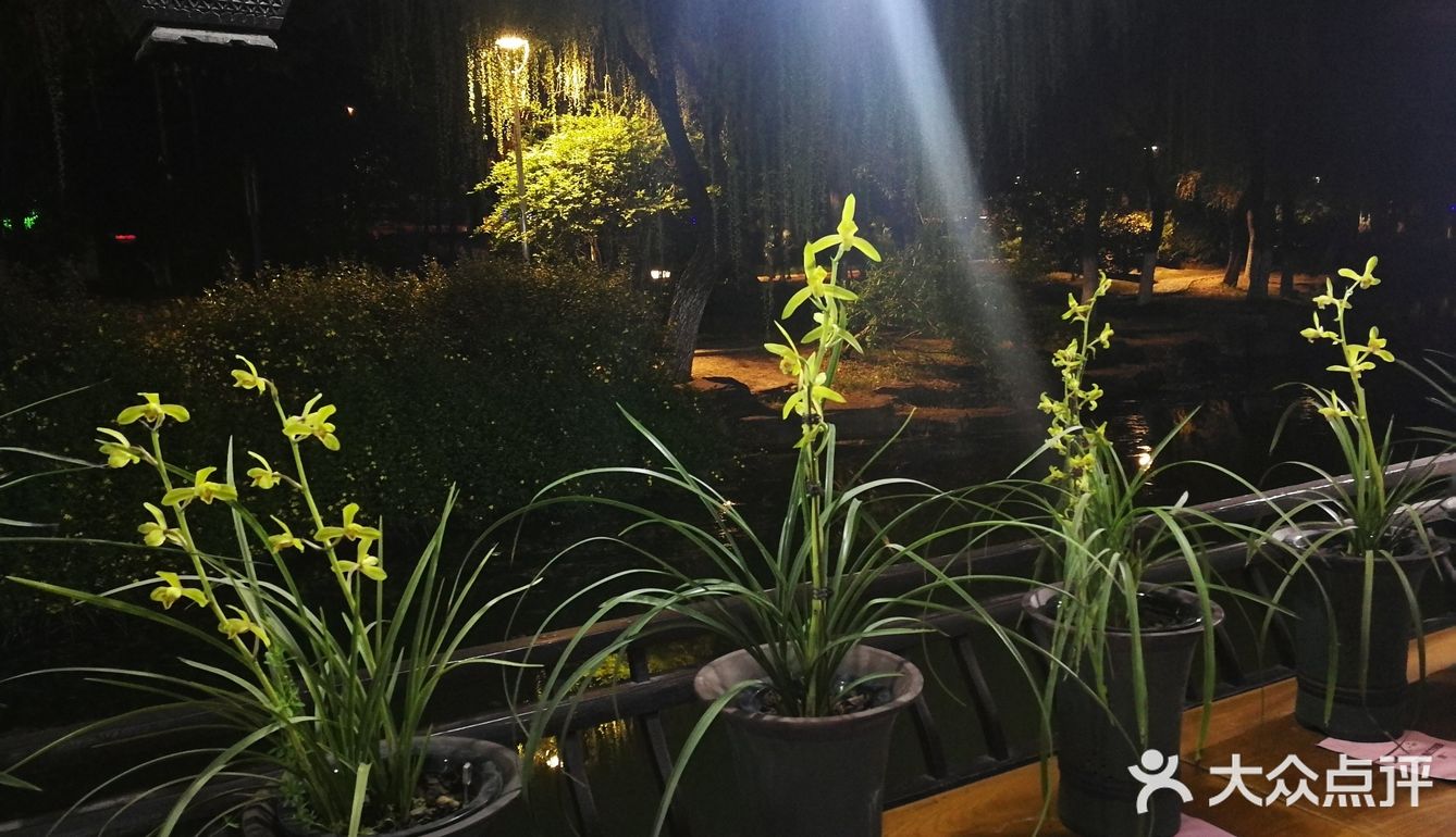 那天有个特色就是兰花展 兰花品种很多 拍拍照挺好的！