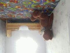 android_upload_pic-金山农民画村-枫泾波兰倒置屋