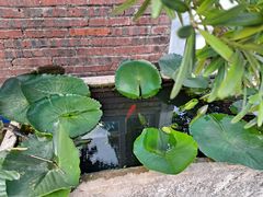 -罗浮山·罗园农庄