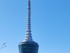 -梧桐山风景名胜区