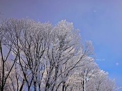 -中旅松花湖滑雪场