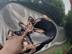 -铁山坪森林公园