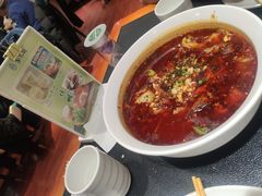 -紫光园·烤鸭·北京菜(团结湖店)