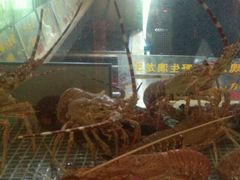 -黄记煌三汁焖锅(崇文门店)