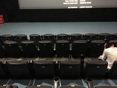 -大地影院(宁波培罗成店)