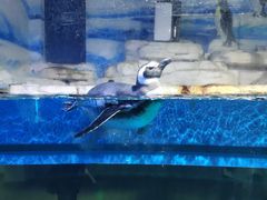 -石林冰雪海洋世界