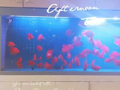 -宫七SPA·高端Massage(浦东大道店)